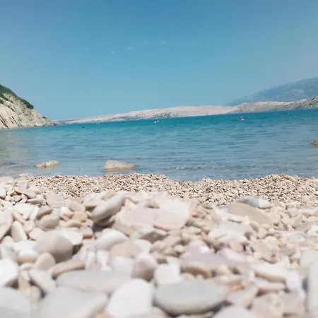 Mila's Pet Friendly House Apartment *