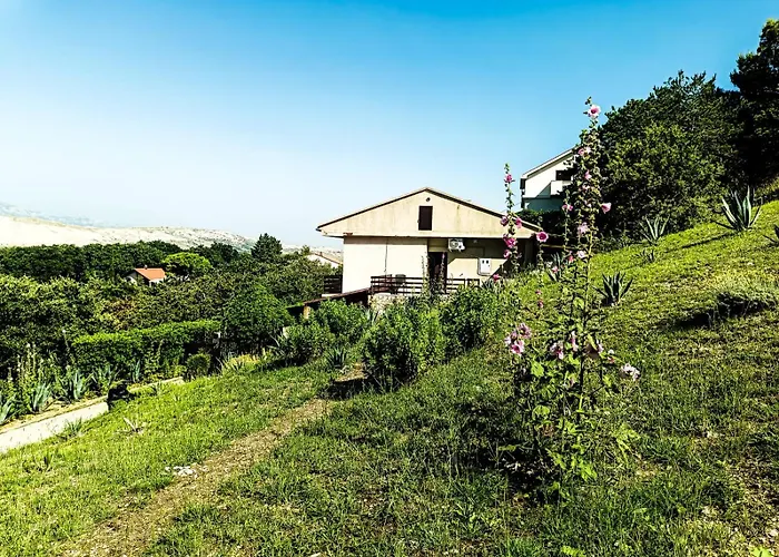 Appartamento Mila's Pet Friendly House Bosana