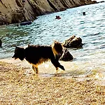 Mila's Pet Friendly House With Private Place And Sunbeds Included Appartement *