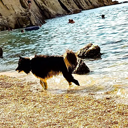 Mila Pet Friendly House With Private Place On The Apartmán *