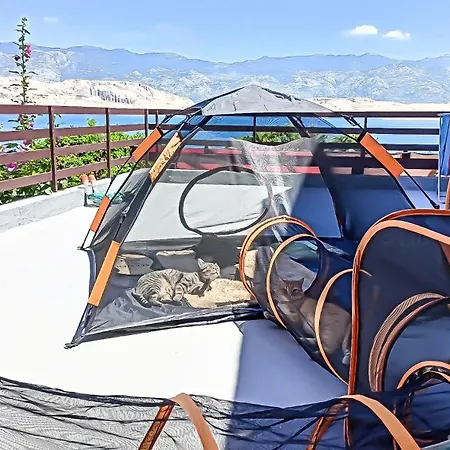 Mila Pet Friendly House With Private Place On The Apartment
