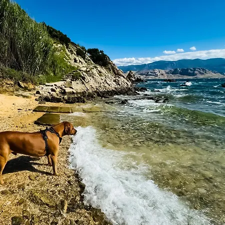 Апартаменты Mila Pet Friendly House With Private Place On The