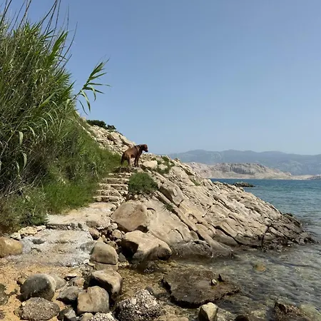 Mila Pet Friendly House With Private Place On The * Pag Town