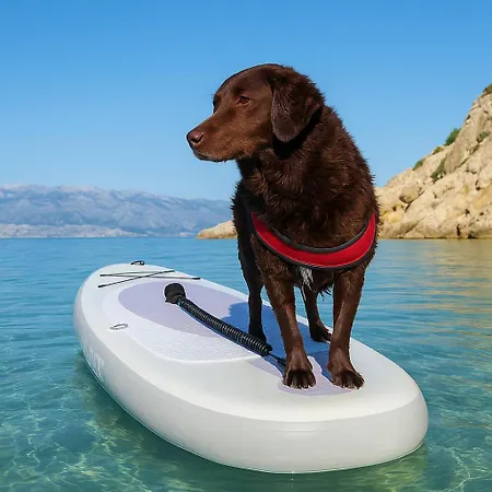 Mila'S Pet Friendly Holiday House Lägenhet