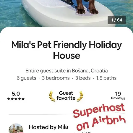 Mila's Pet Friendly House With Private Place And Sunbeds Included 公寓 *