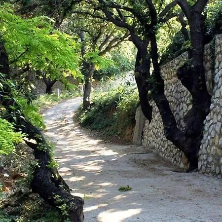 Mila's Pet Friendly House