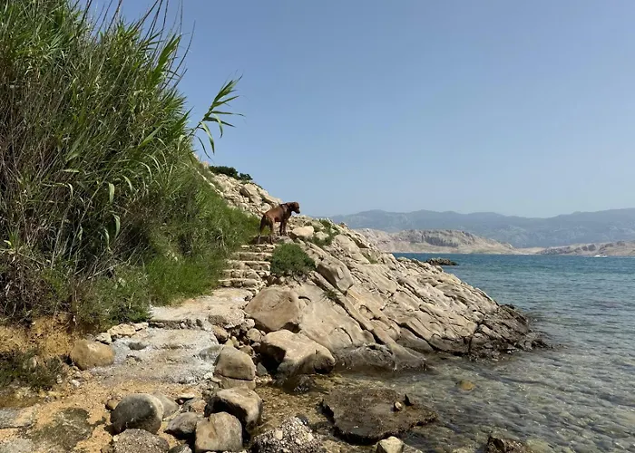 Mila's Pet Friendly House With Private Place And Sunbeds Included * Bosana